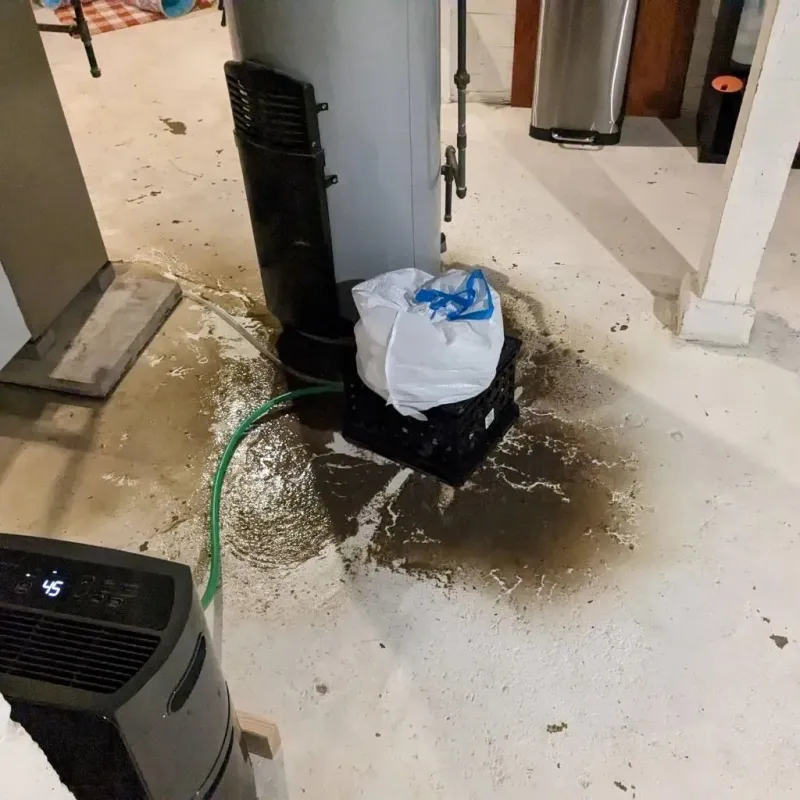 Sewage Backup Cleanup Service in Trion, GA
